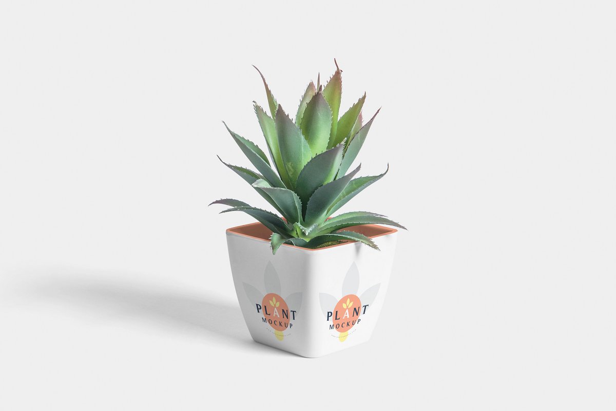 Graphic design studio specialized in professional product mockups. 40 Best Plant Pot Mockup Templates Free Premium