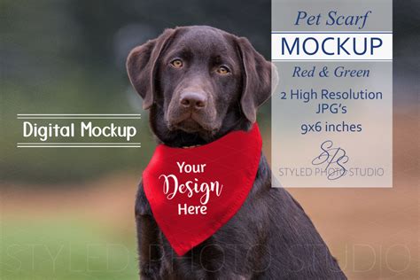 33+ Download Pet Mockup Free&nbsp;Psd